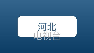 河北经济在线直播